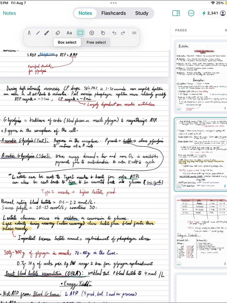 Handwritten notes in Novis Penmode